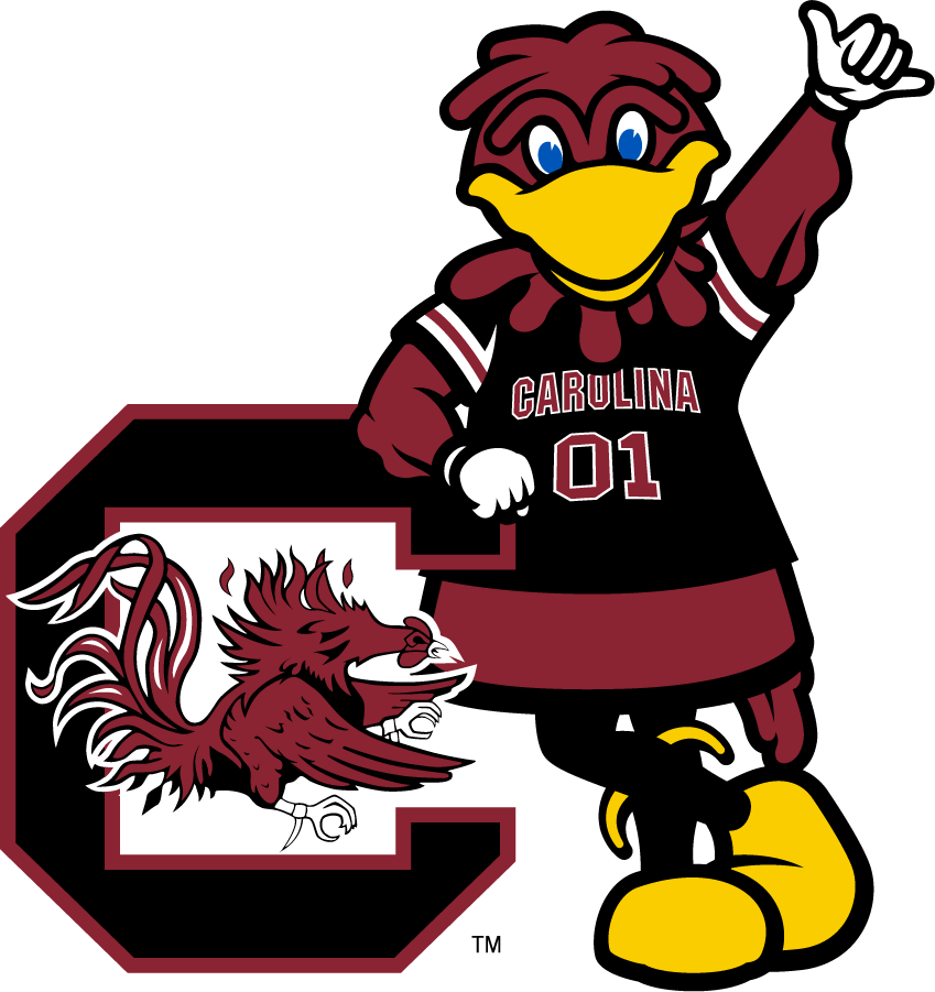 South Carolina Gamecocks 2014-2018 Mascot Logo t shirts iron on transfers